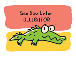 SpicyIP Fellowship 2019-20: “See You Later, Alligator!” The Delhi High  Court Rejects Crocs' Suit For Passing Off of Registered Design | SpicyIP